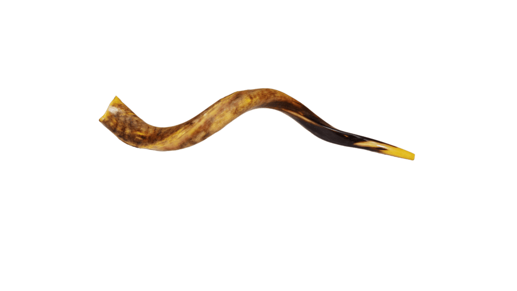 shofar high holiday symbol
